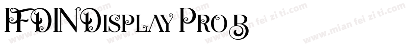 PF DIN Display Pro B字体转换